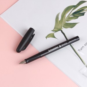 有券的上： 施耐德 BK402 德国进口 练字钢笔 F尖 *4件