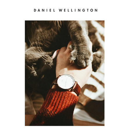 双11预售：Danielwellington classy leather 34mm 女士手表
