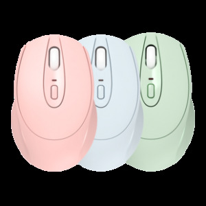 雷宝龙 222 无线静音鼠标 电池版