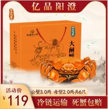 亿品阳澄大闸蟹 公蟹3两母蟹2两共6只 