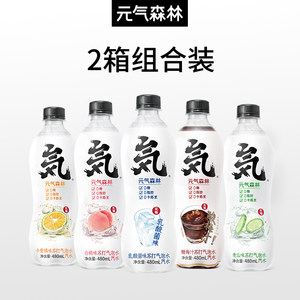 元気森林 0糖0脂0卡 卡曼橘味苏打气泡水 480ml*12瓶*2箱 99.9元双11预售到手价