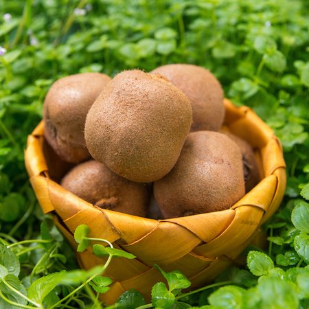 忆优鲜 绿心猕猴桃亚特大果90g(含)-110g(不含) 5斤