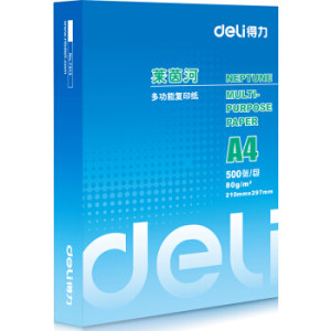deli 得力 莱茵河1包装80gA4复印纸 500张/包