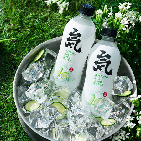 临期品：元气森林 无糖0脂青瓜苏打气泡水 480ml*12瓶