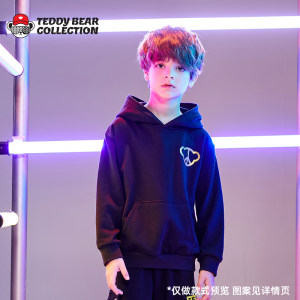 泰迪珍藏 2020春秋时尚套头毛衣/卫衣