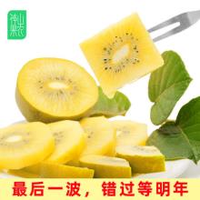 神山果农 精灵金果猕猴桃 12枚 单果90-99g