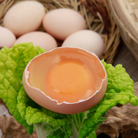 乡公馆 正宗土鸡蛋 农家散养新鲜纯农村自养 40枚