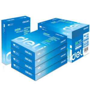 deli 得力 莱茵河 A4复印纸 80g 500张/包 5包整箱装（2500张）