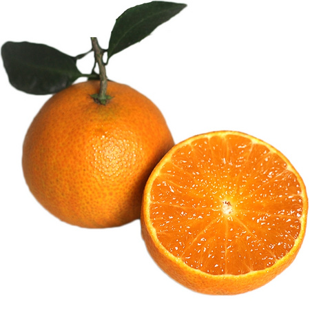 山棒子 爱媛38号果冻橙 大果 5斤