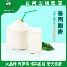百果园 泰国进口椰青 6个/单果700g+ 送开椰器