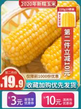 双重优惠！老农贡 正宗山西非转基因甜糯玉米棒10根2200g