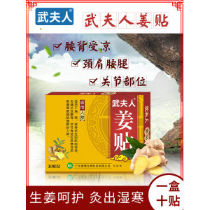 武夫人 颈肩腰腿艾灸热敷生姜贴 
 10贴