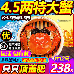 现货 副会长单位 阳澄湖大闸蟹 12只 228元包顺丰冷链