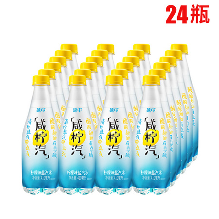延中 咸柠汽 410ml*12瓶 *2件