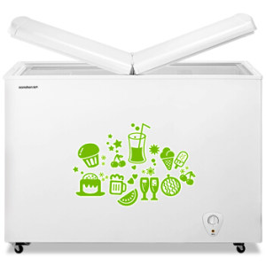 Ronshen 容声 BCD-273KB 卧式冰箱 273升