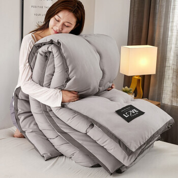 BEISIYANG 贝思羊 加厚冬被被芯 高级灰 200*230cm-6斤