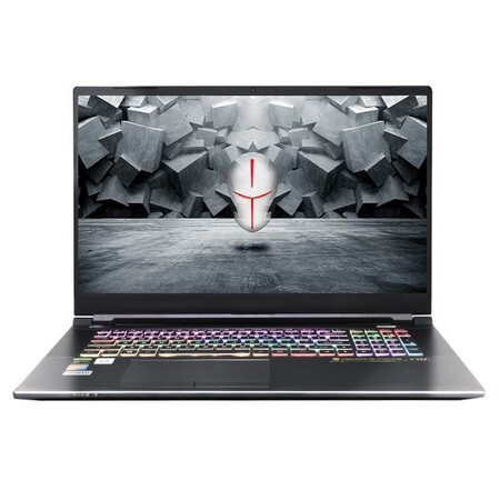 TERRANS FORCE 未来人类 T7M 17.3英寸笔记本(i7-10875H、32G、1T PCIe SSD、RTX 2070 Max-Q)