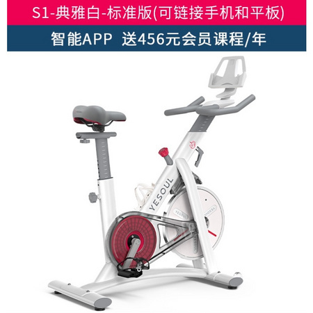 YESOUL 野小兽 YS 动感单车