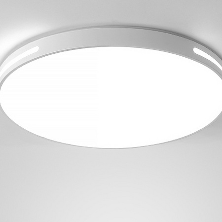 JUYAODENGSHI 居耀灯饰 SJ-5015-220B led圆形吸顶灯 单色白光18w