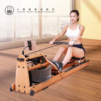 历史低价：小米有品 小莫 Pro 划船机+自行车 +凑单品