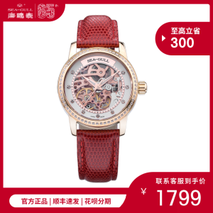 海鸥 Seagull 女镂空水钻全自动机械表