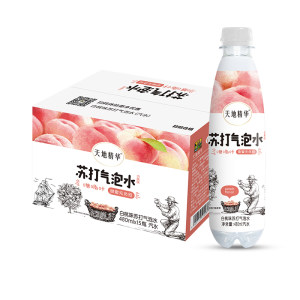 天地精华 白桃味苏打气泡水 480ml*15瓶 0糖0脂0卡