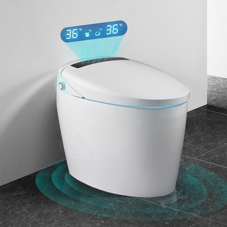 大白 DXD01002-1031 净爽抗菌智能马桶