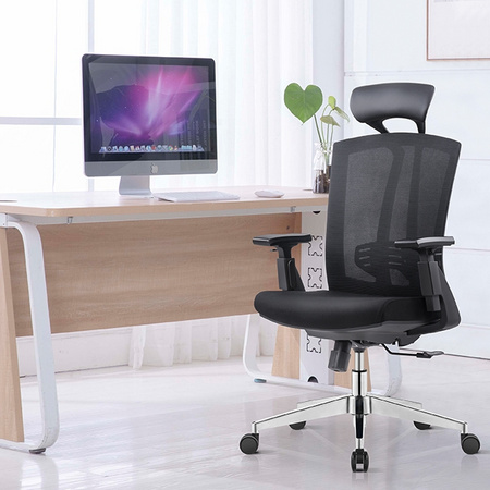 Sitzone DS-163A 人体工学椅 黑色尼龙脚