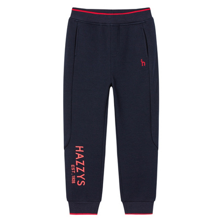 聚划算百亿补贴：hazzys 哈吉斯 男童加绒长裤