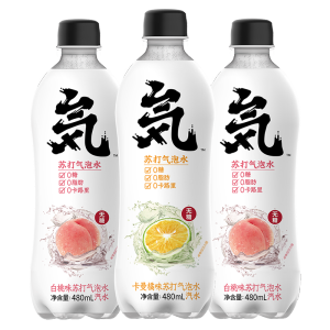 元気森林 0糖0脂0卡路里 卡曼橘/青瓜/白桃味苏打气泡水 480ml*12瓶
