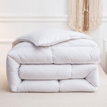 移动专享：流川枫 加厚羽丝绒秋冬被 150*200cm 4斤