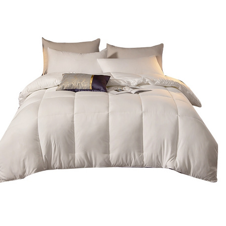 香思缦 加厚保暖太空抗菌冬被 150*200cm 5斤