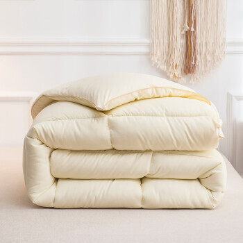 流川枫 加厚羽丝绒秋冬被 150*200cm 4斤