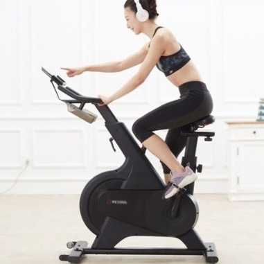 YESOUL 野小兽 M1 智能动感单车