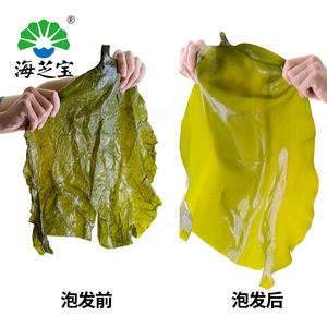 海芝宝 新鲜盐渍海带头 5斤