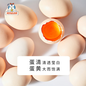 五星级酒店供应商 鸡仔总动员 当天产A级生鸡蛋 40枚 无菌无抗生素 29.9元抢先价