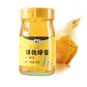 花圣 纯正天然洋槐蜂蜜 500g 一件9.9元
