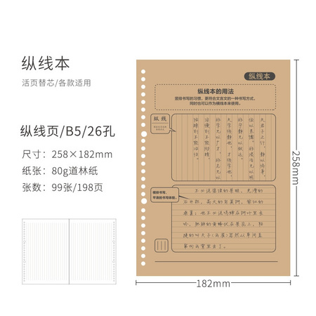 GuangBo 广博 GBH16832 活页笔记本替芯 B5 198页