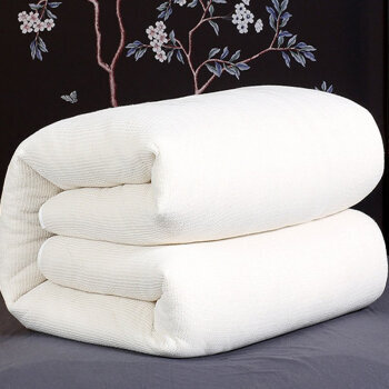 移动专享：Xanlenss 轩蓝仕 新疆长绒棉褥子棉花冬被 200*230cm 6斤