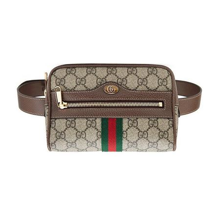 88VIP：Gucci 古驰 Ophidia 女士腰包