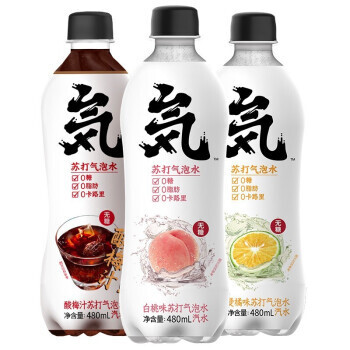 Genki Forest 元気森林 气泡水 混合口味装 480ml*12瓶