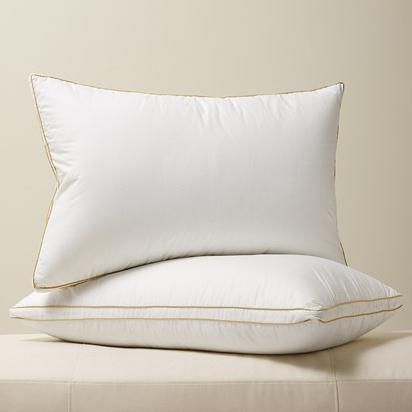 DAPU 大朴 A类95%鹅绒抗菌枕