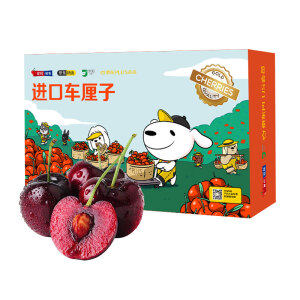 智利进口 JJJ巨无霸级车厘子 约1.8斤