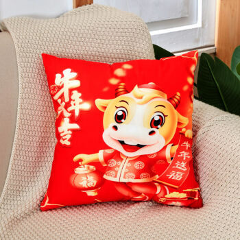 移动专享：YINTENG 茵藤 新年喜庆抱枕 40*40cm