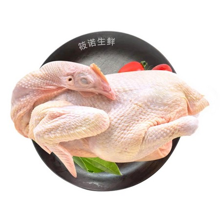 筱诺 生鲜三黄童子鸡 750g*2只