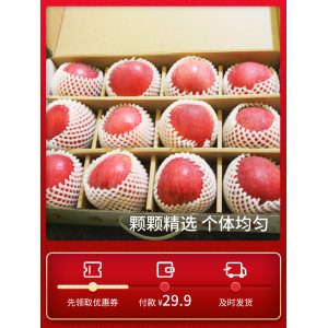 苏子富春 红富士苹果 净重5斤
