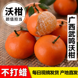 什谷丰 正宗广西武鸣沃柑 9斤