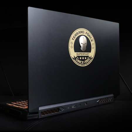 TERRANS FORCE 未来人类 AMD 15.6英寸游戏本（R5-3600、RTX2060、16GB、512GB、144Hz））
