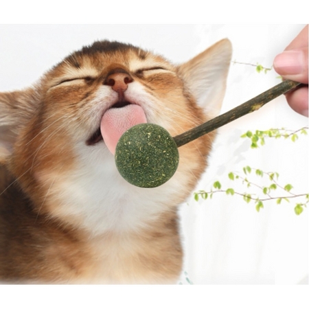 YOLLER CAT 优乐猫 猫薄荷棒棒糖*3支