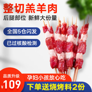撸串串 内蒙6月龄羔羊 腿肉羊肉串 120g*8袋 共48串